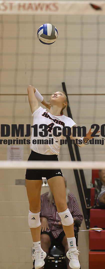 DMJ-13.com