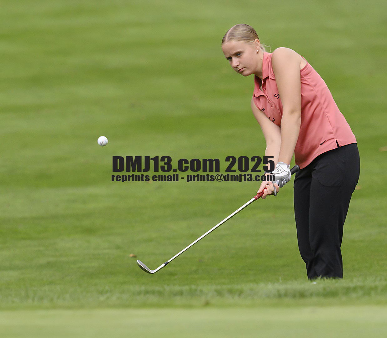 DMJ-13.com