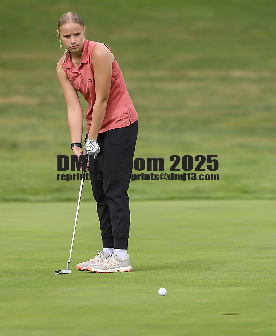 DMJ-13.com