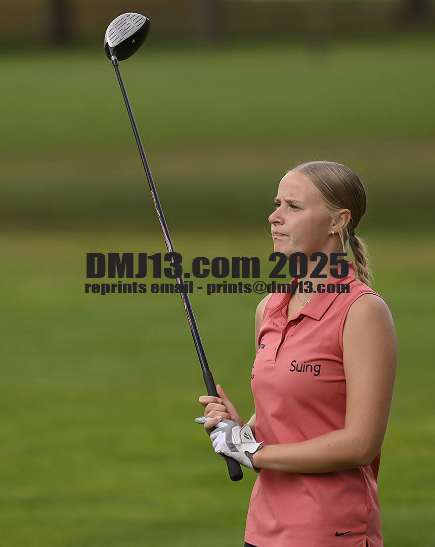 DMJ-13.com