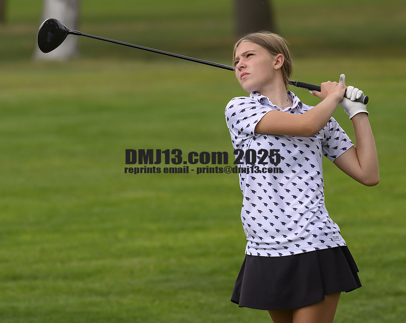DMJ-13.com