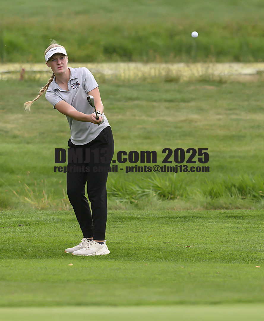 DMJ-13.com