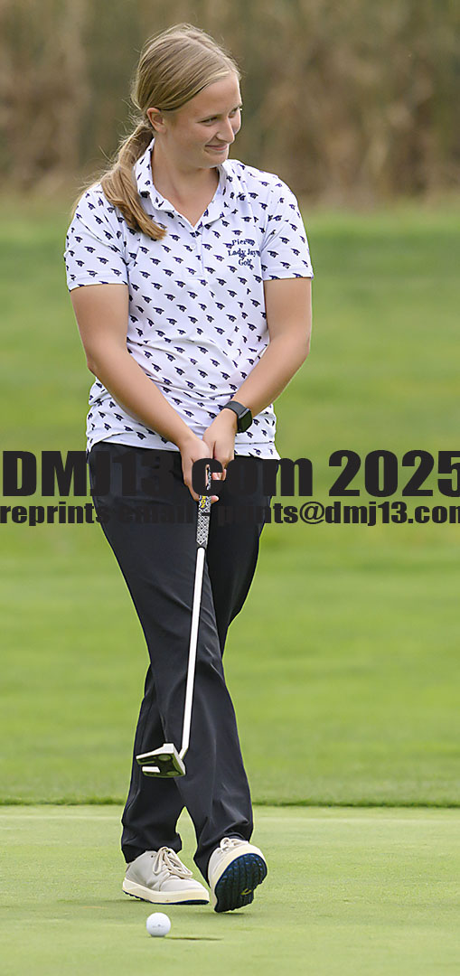 DMJ-13.com