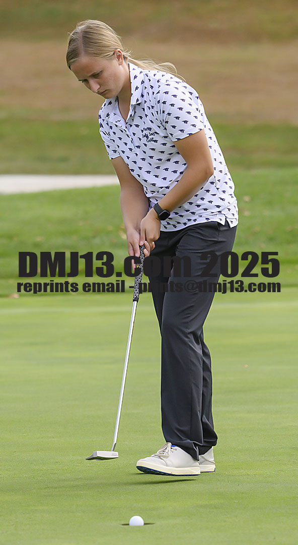 DMJ-13.com
