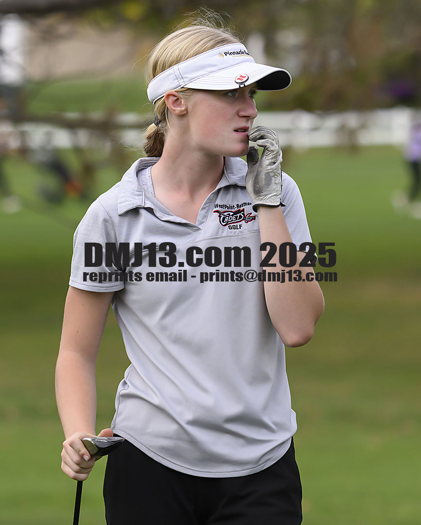 DMJ-13.com