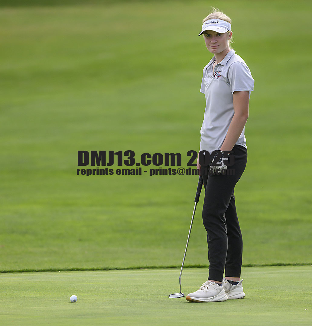 DMJ-13.com