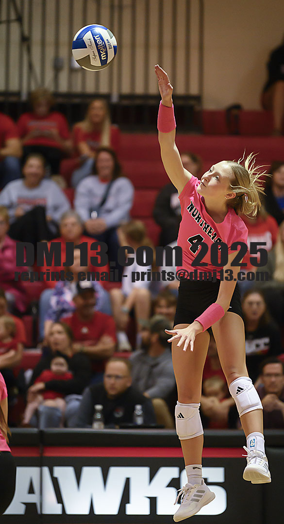 DMJ-13.com