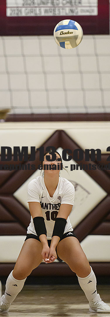 DMJ-13.com