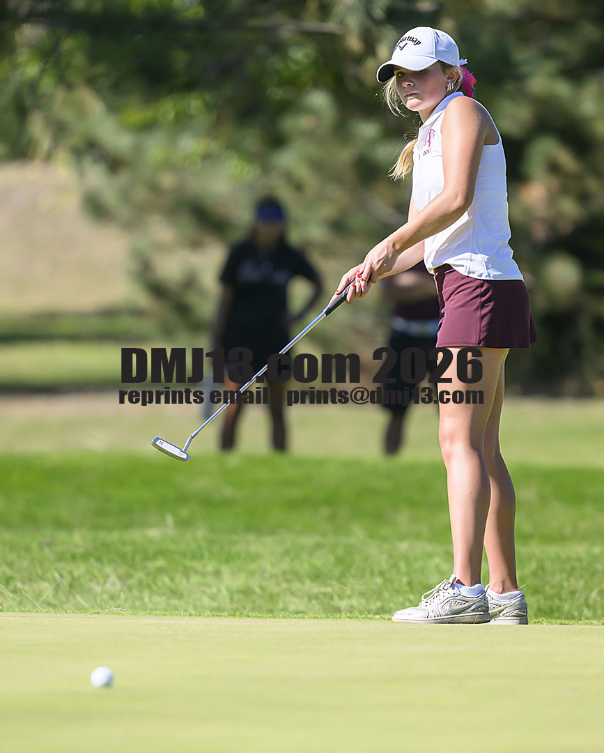 DMJ-13.com