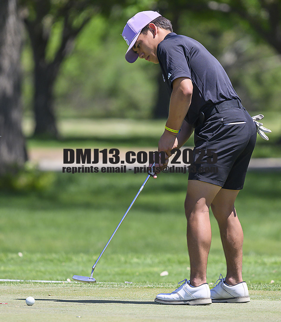 DMJ-13.com