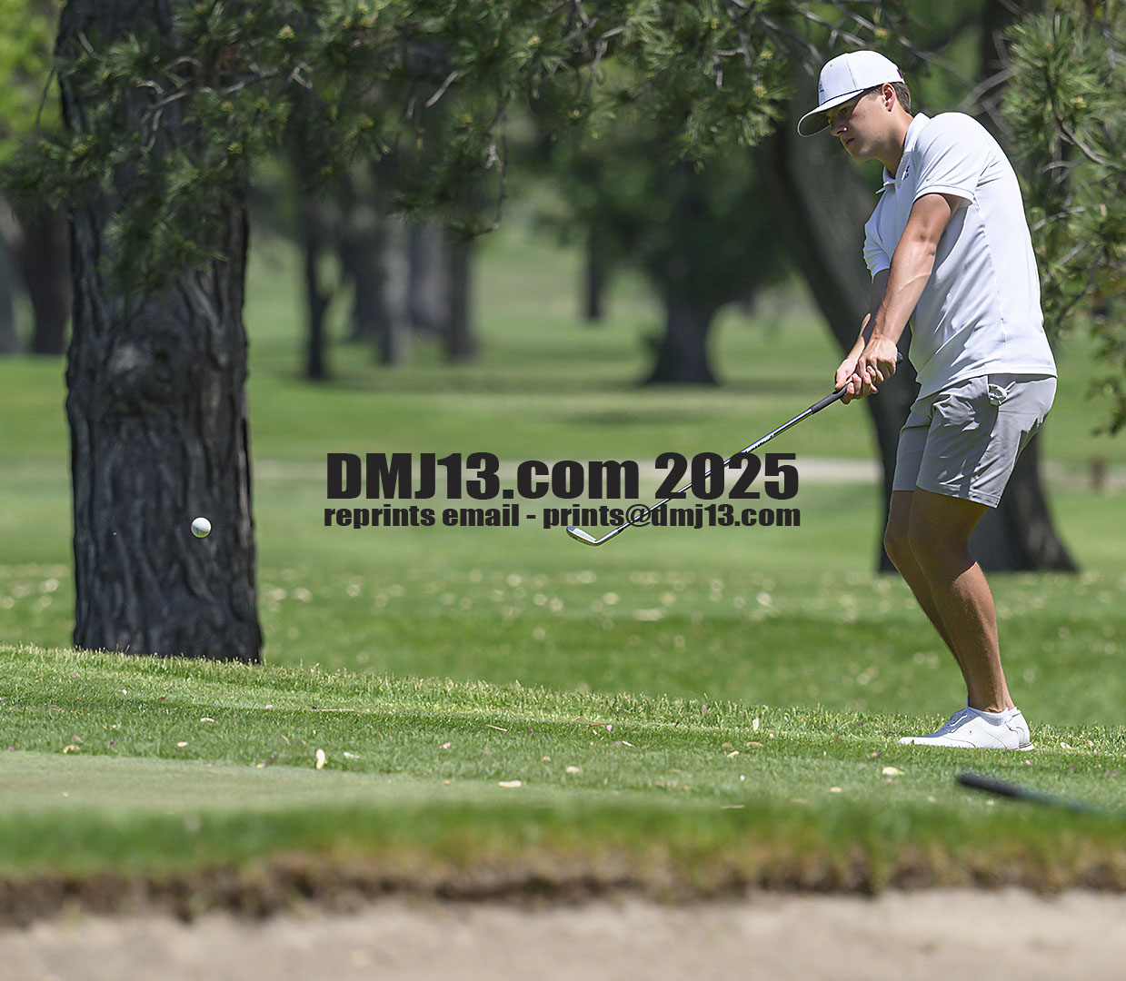 DMJ-13.com