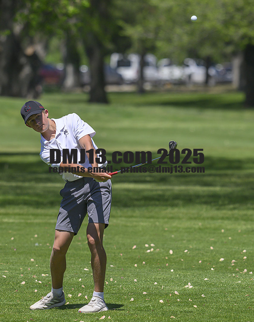 DMJ-13.com