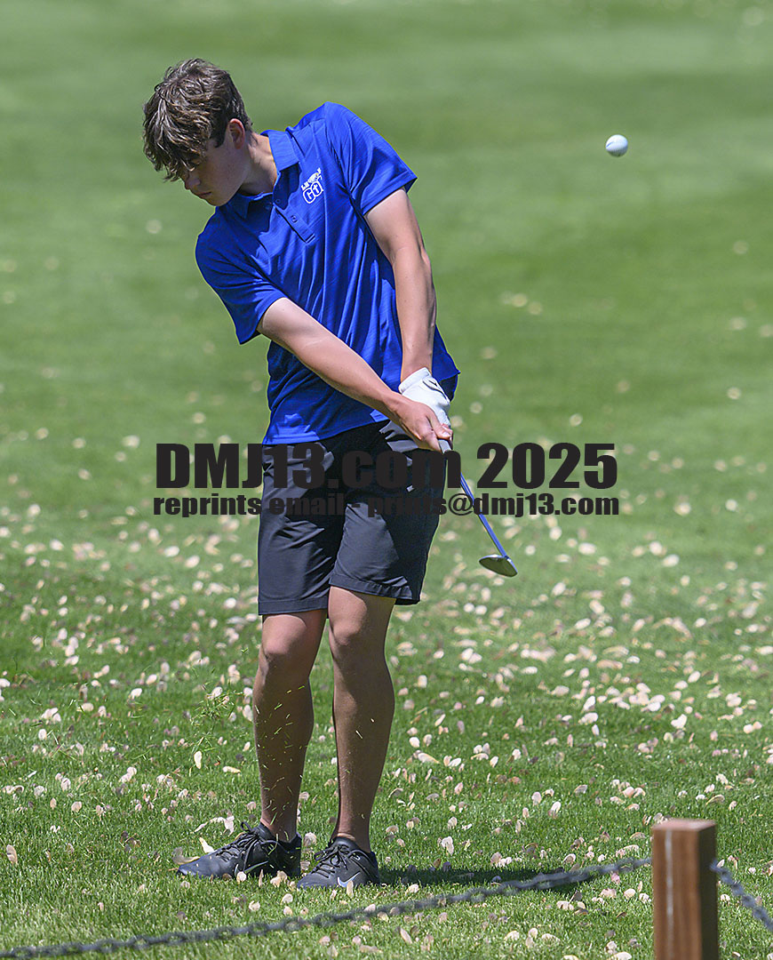 DMJ-13.com