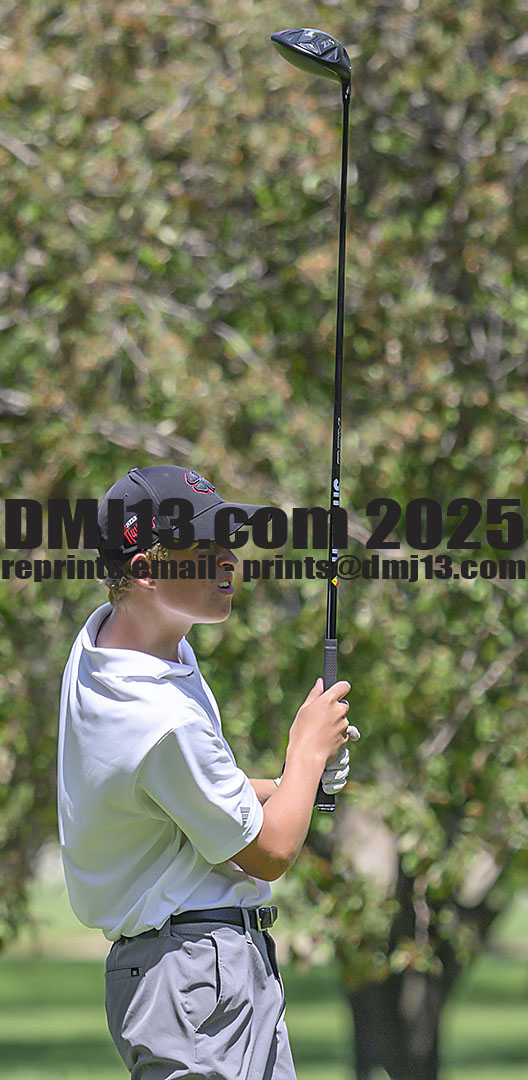 DMJ-13.com