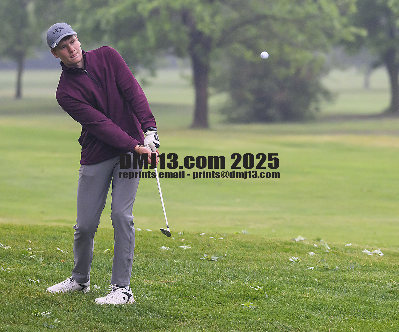 DMJ-13.com