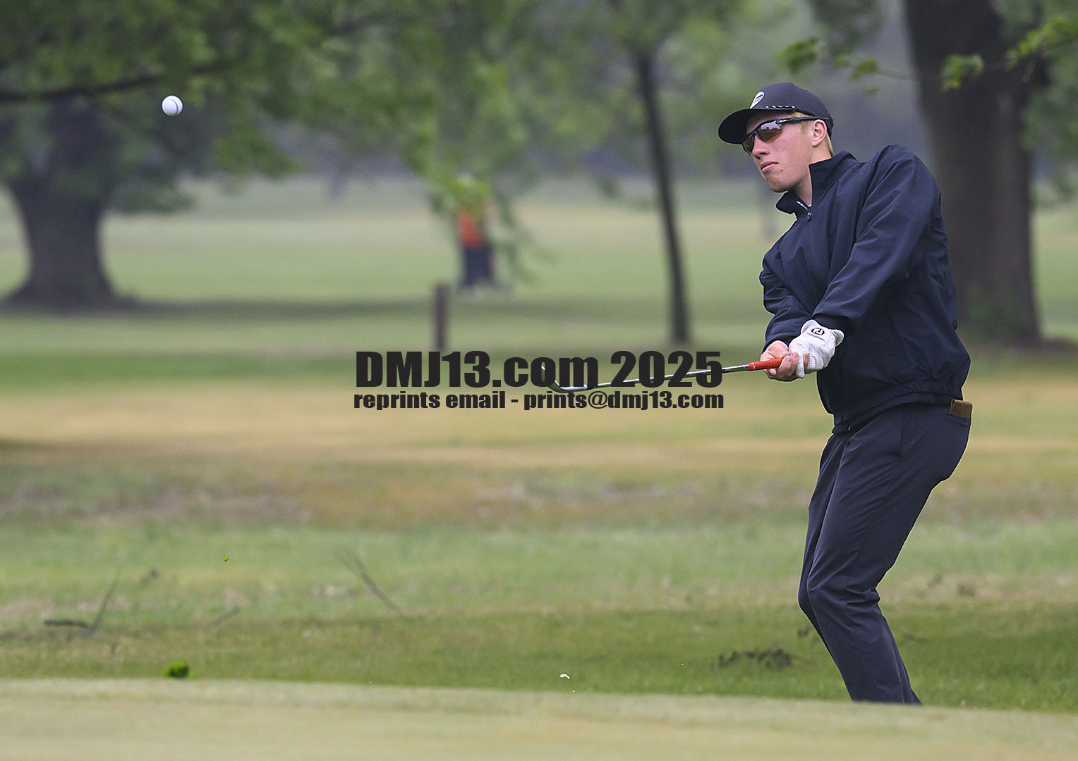 DMJ-13.com