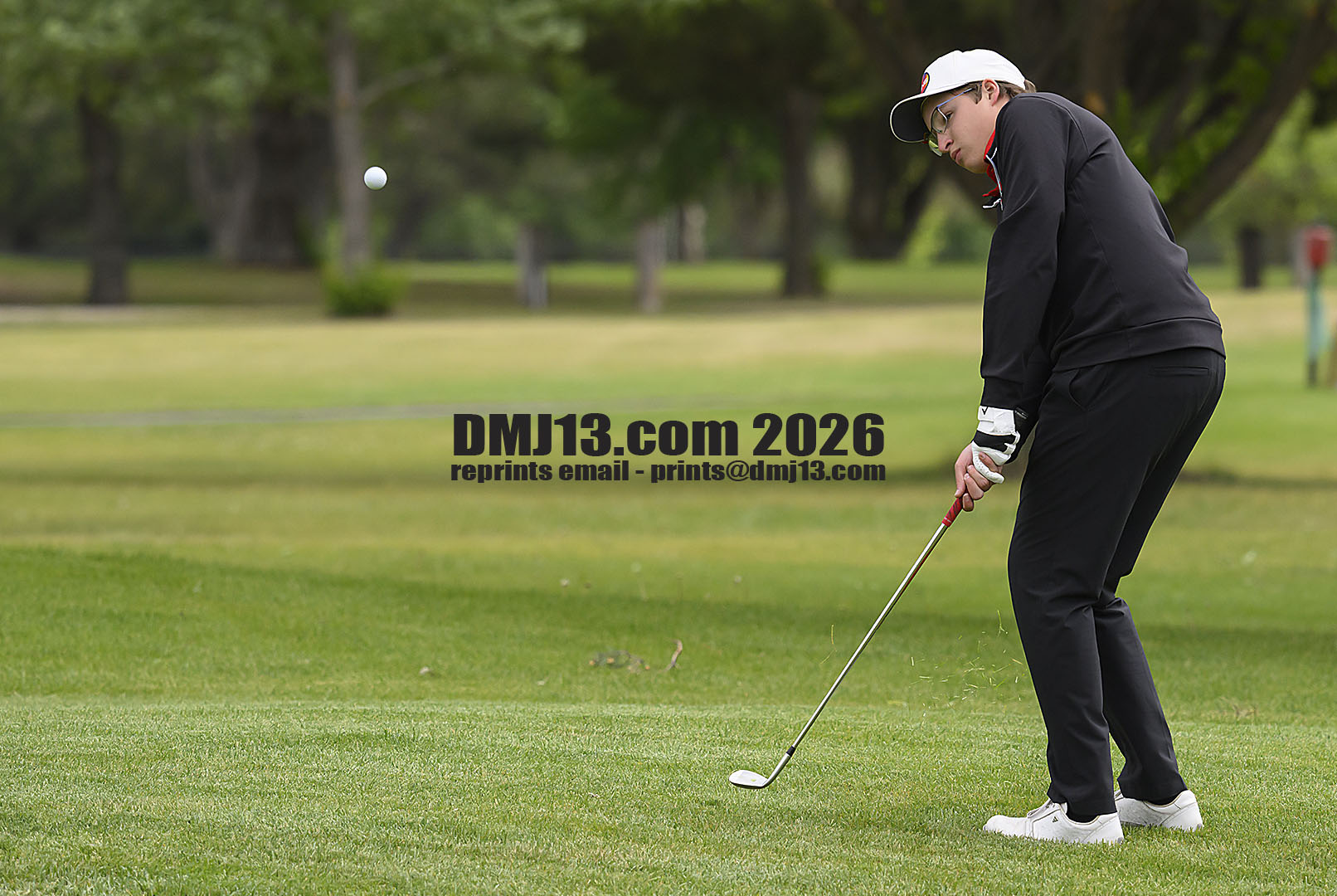 DMJ-13.com
