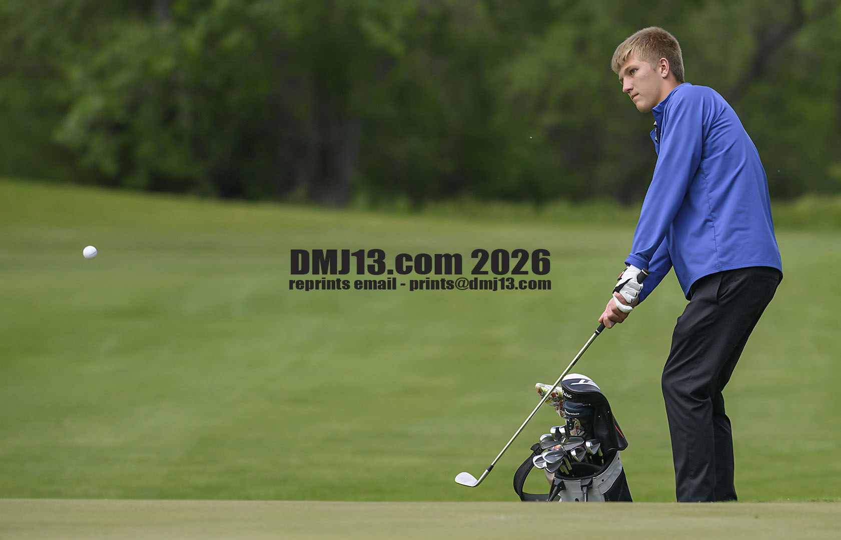 DMJ-13.com