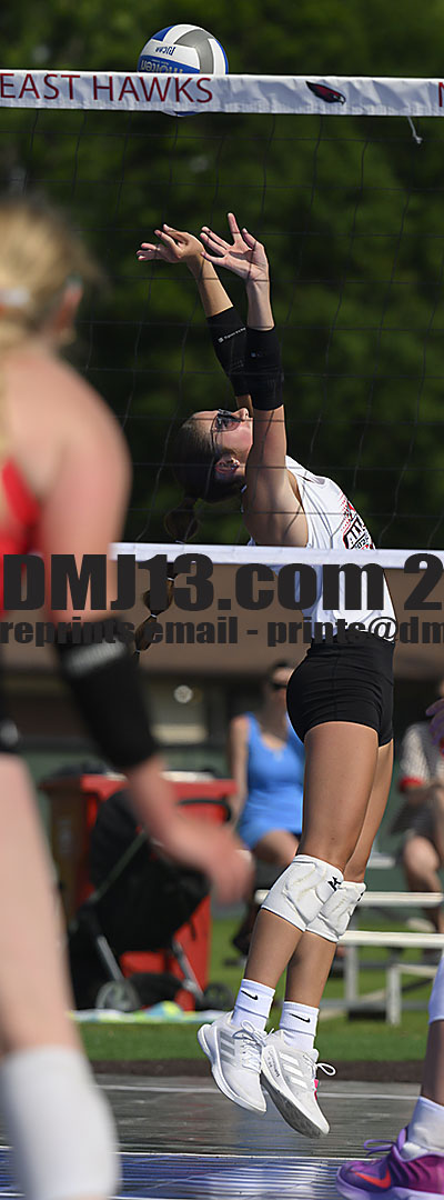 DMJ-13.com