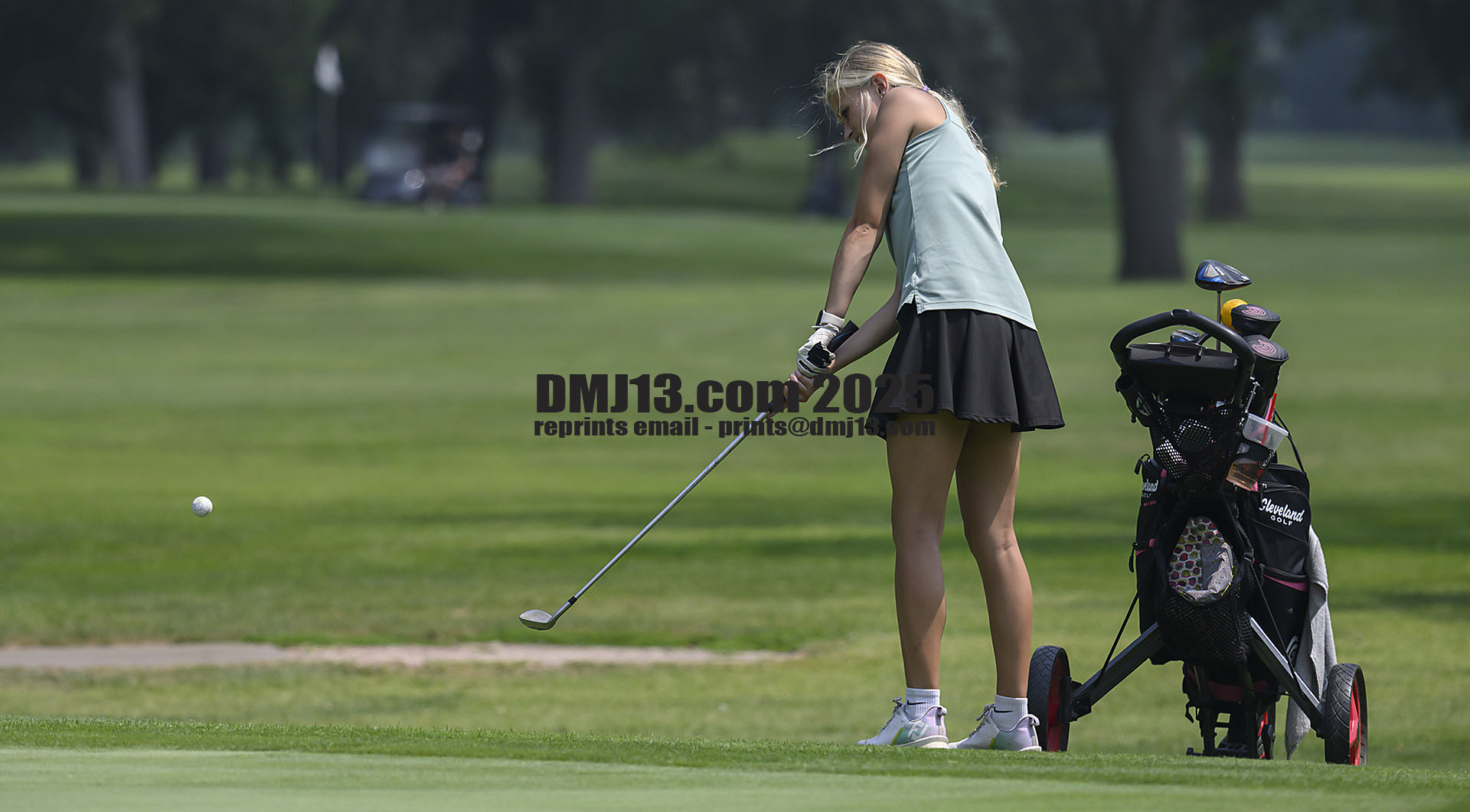 DMJ-13.com