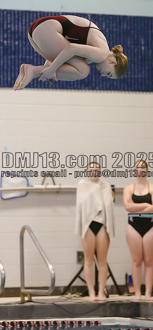 DMJ-13.com