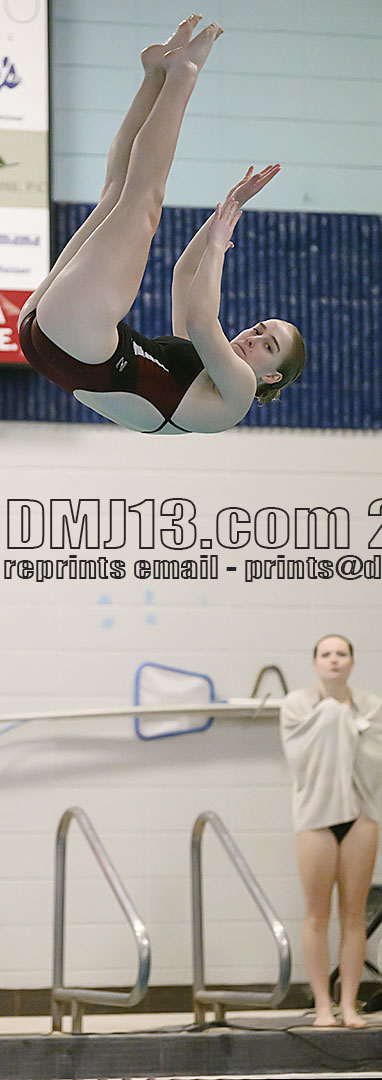 DMJ-13.com
