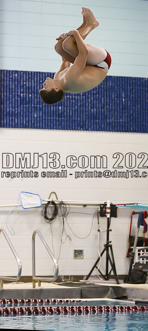 DMJ-13.com