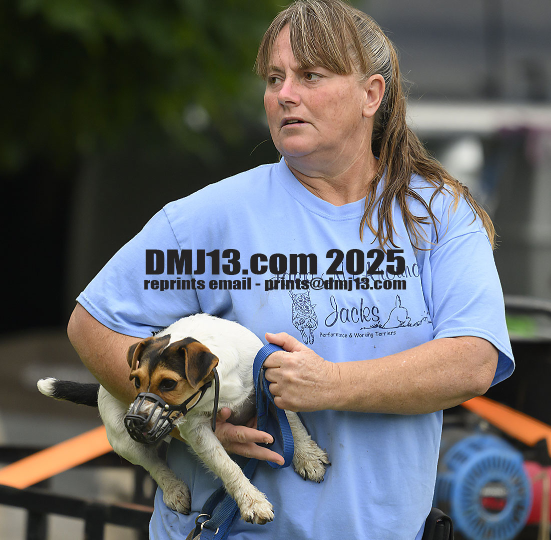 DMJ-13.com