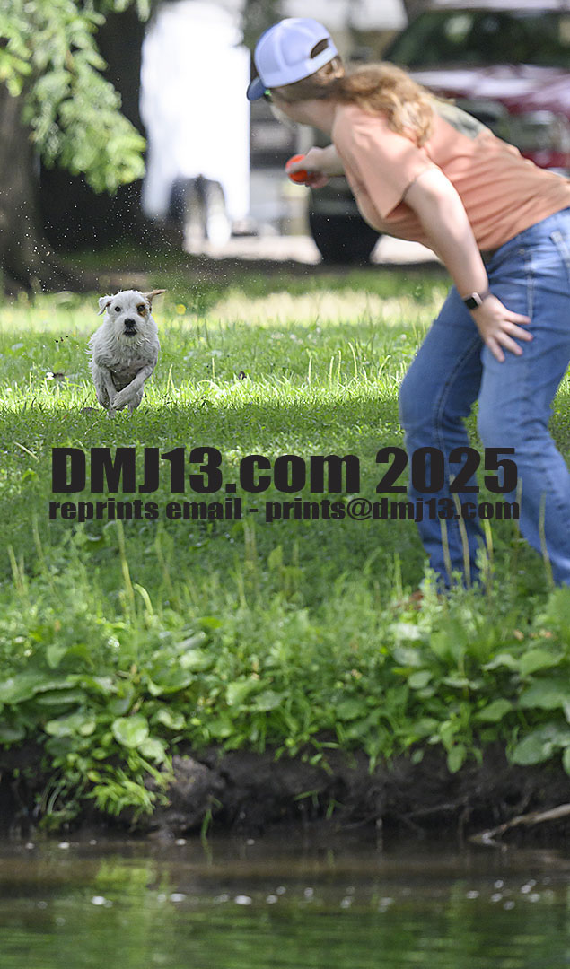 DMJ-13.com