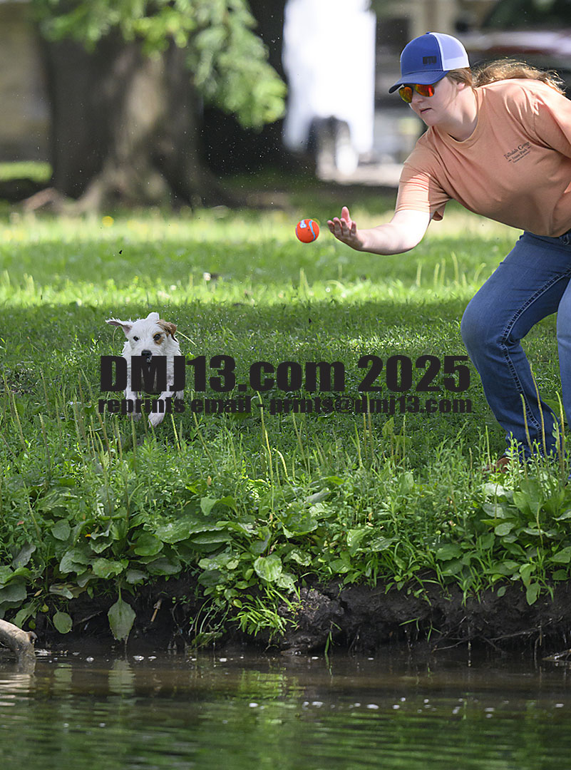 DMJ-13.com