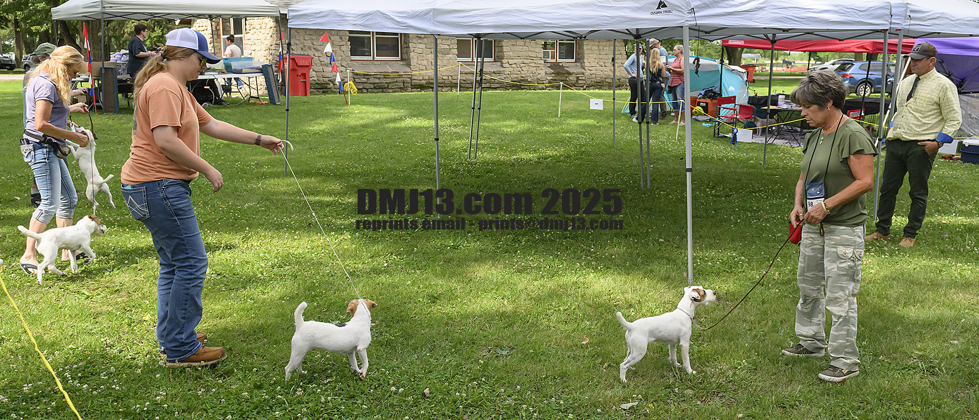 DMJ-13.com