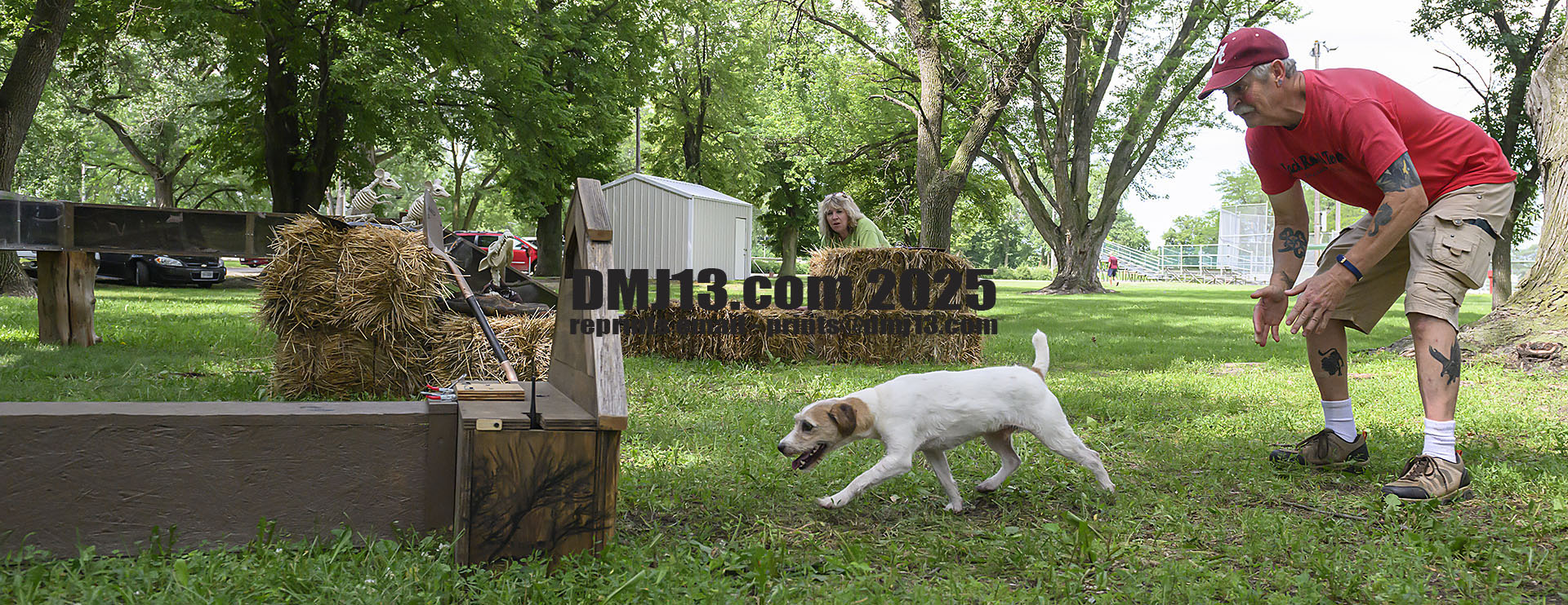 DMJ-13.com