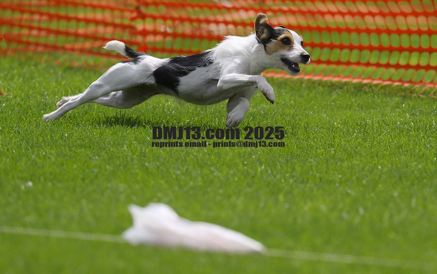 DMJ-13.com