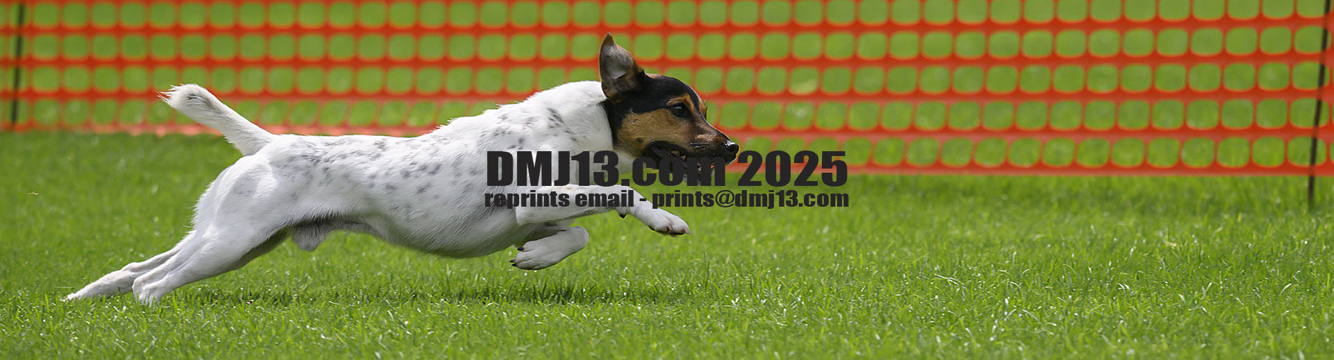 DMJ-13.com