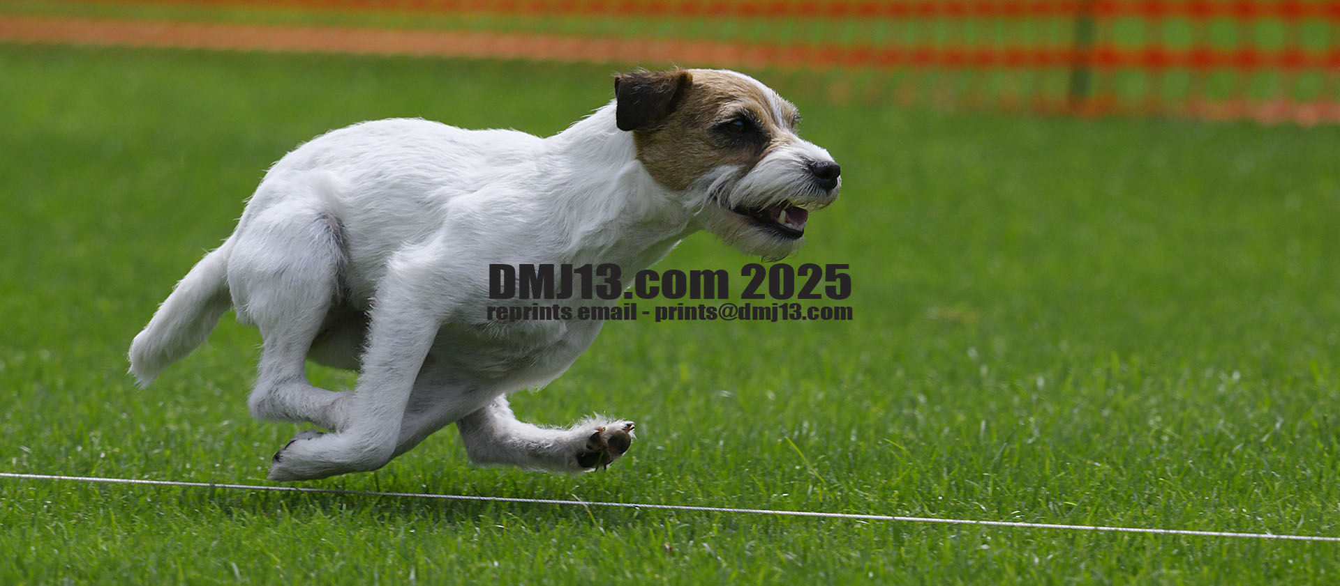 DMJ-13.com