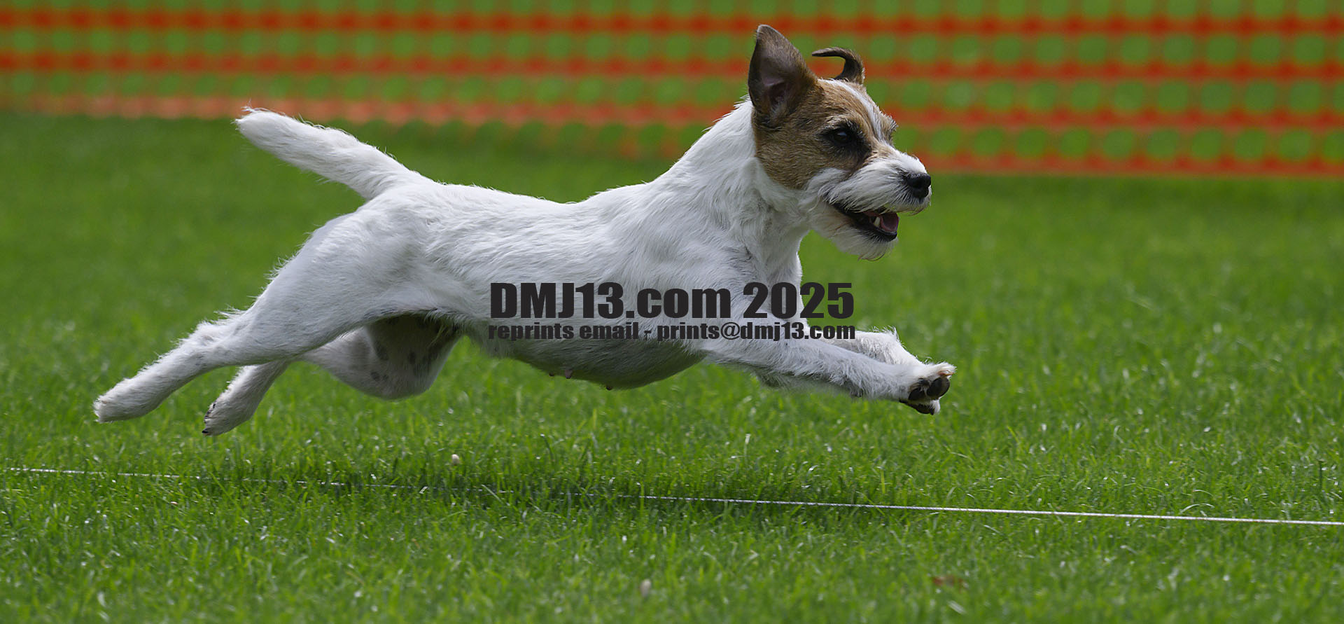 DMJ-13.com