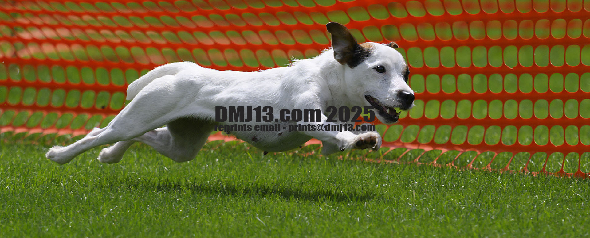 DMJ-13.com