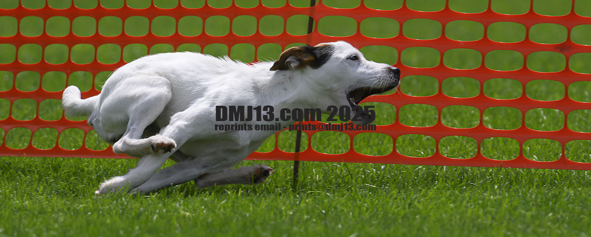 DMJ-13.com