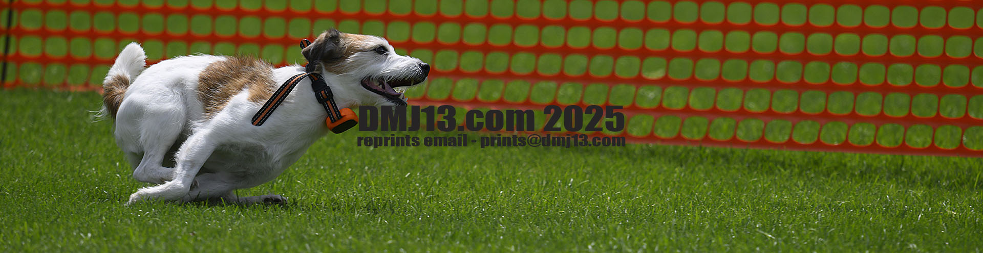 DMJ-13.com
