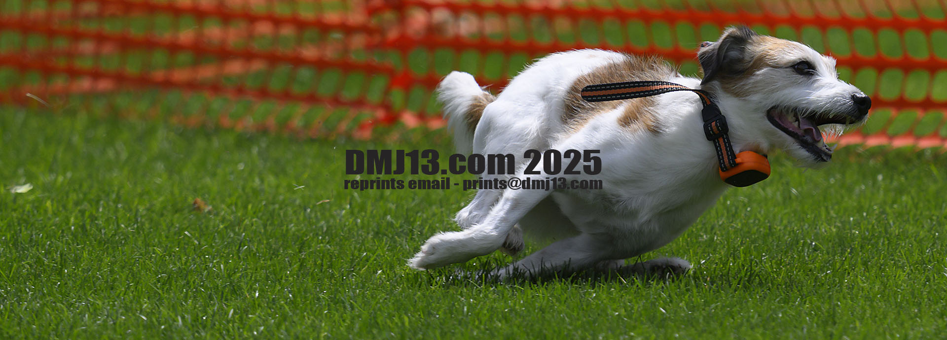 DMJ-13.com