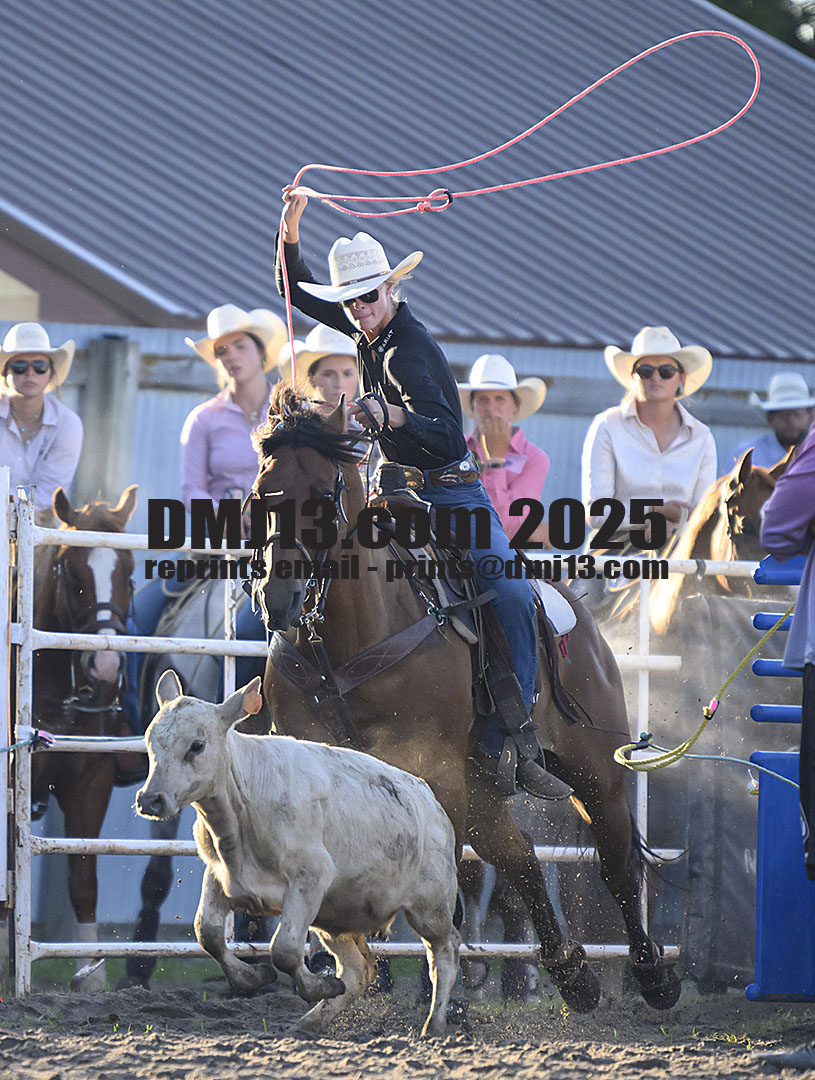 DMJ-13.com