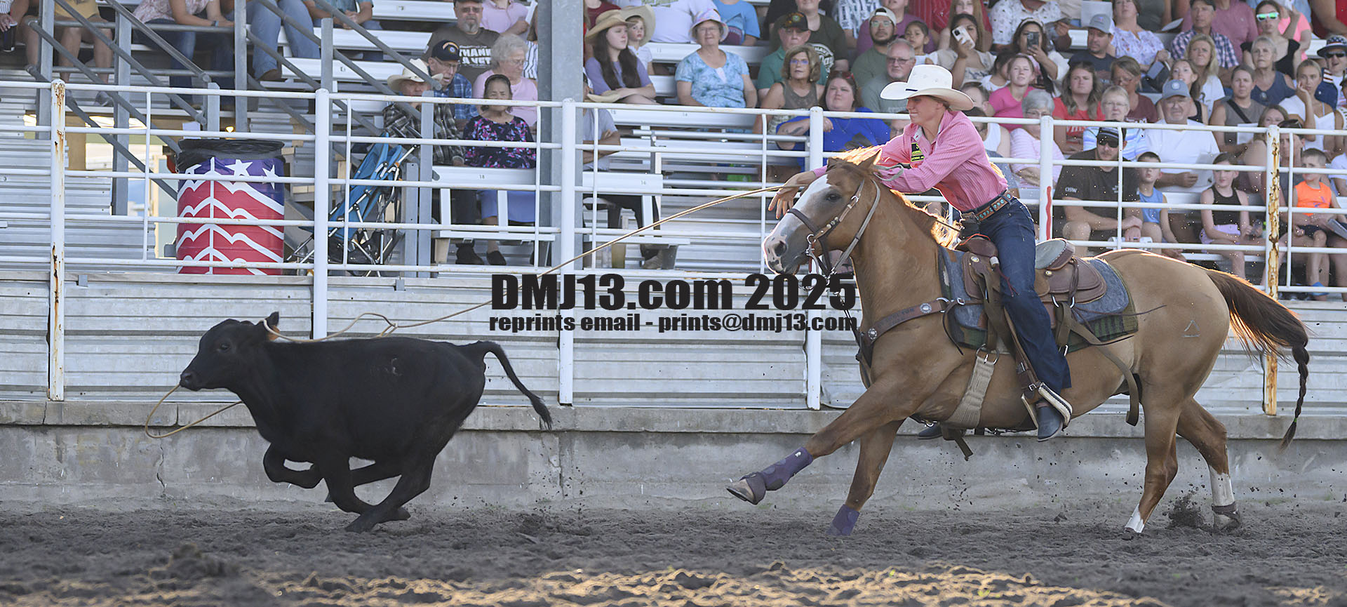 DMJ-13.com