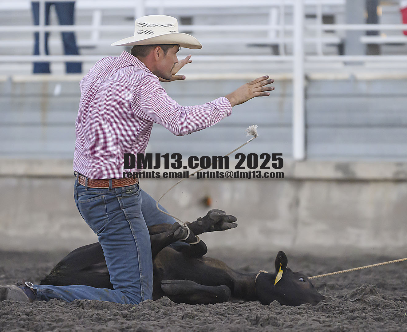 DMJ-13.com