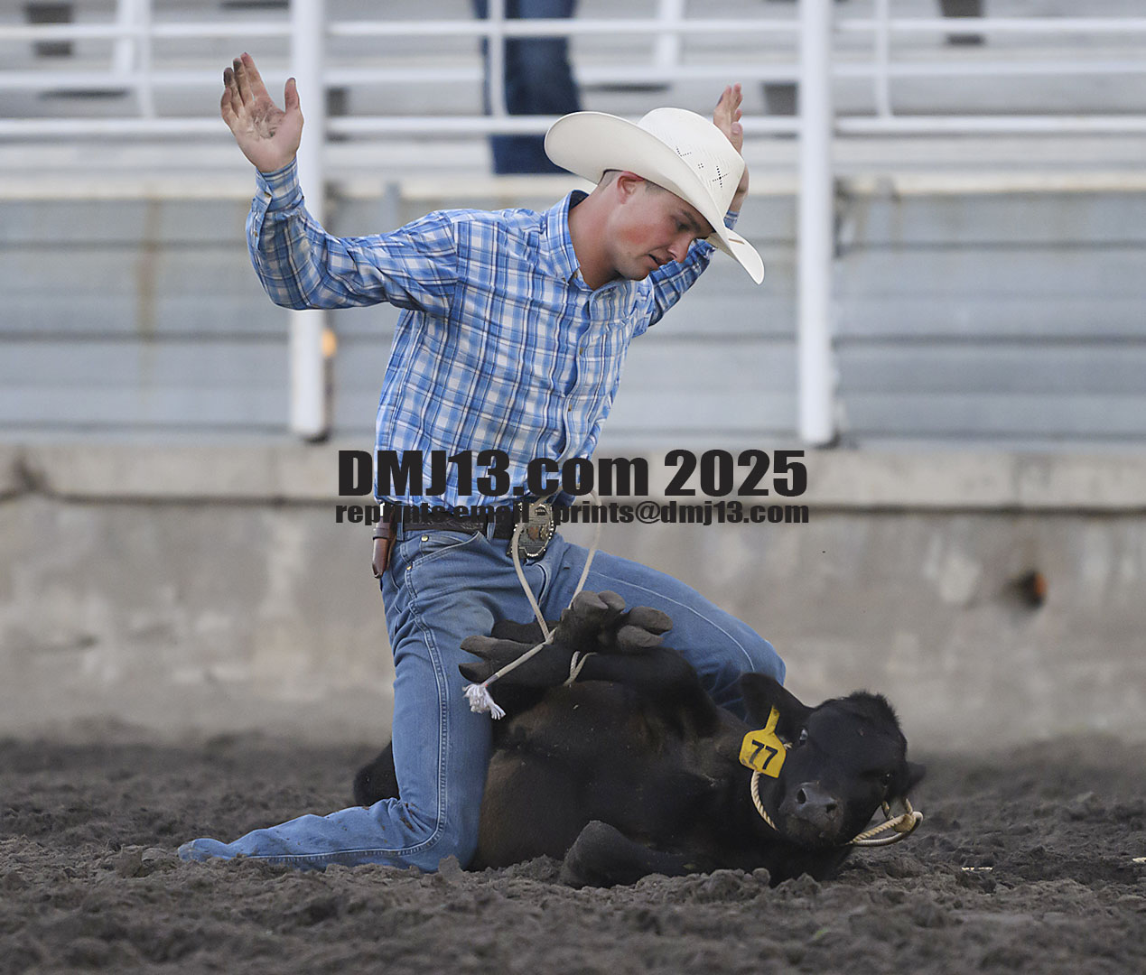 DMJ-13.com