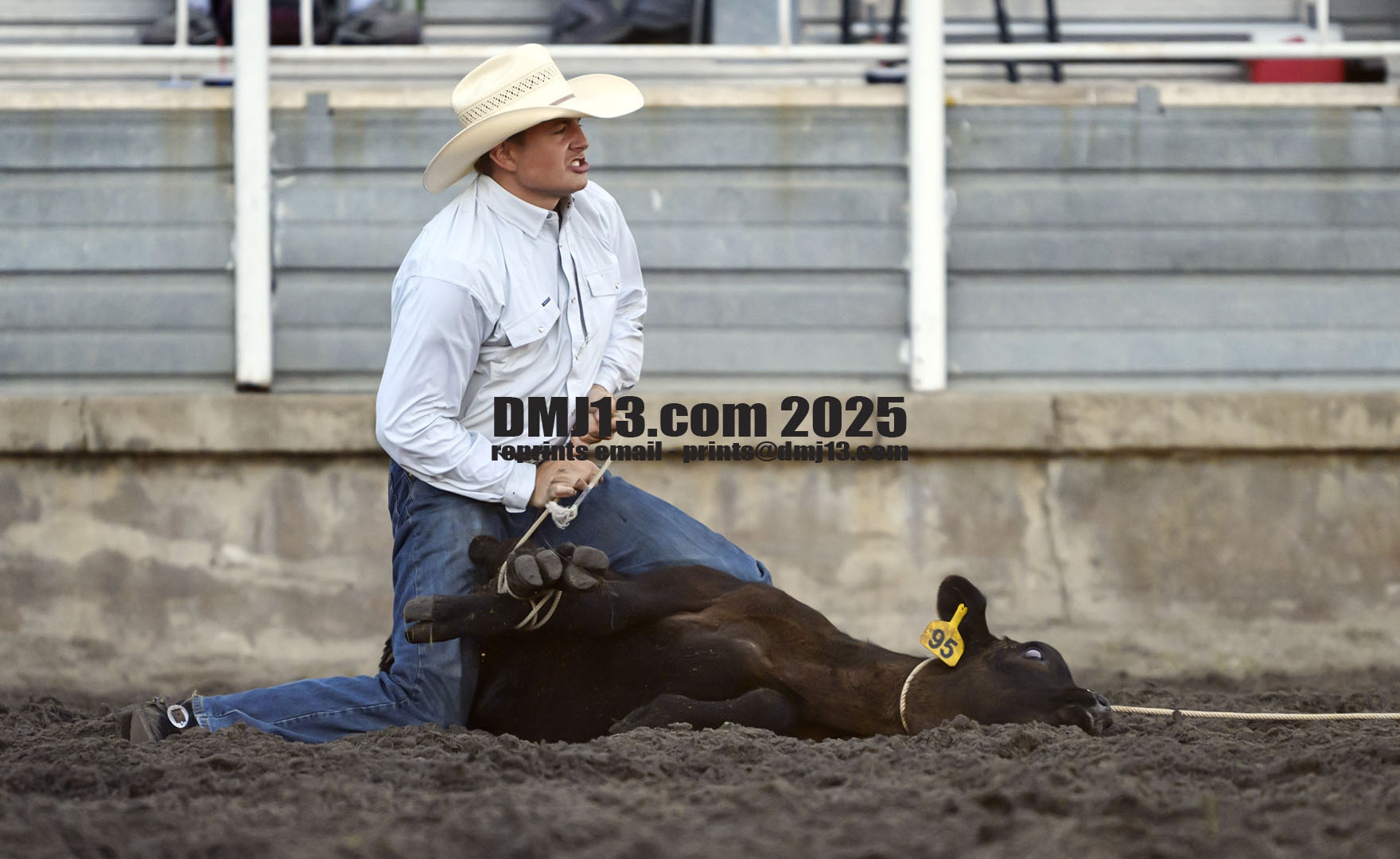 DMJ-13.com