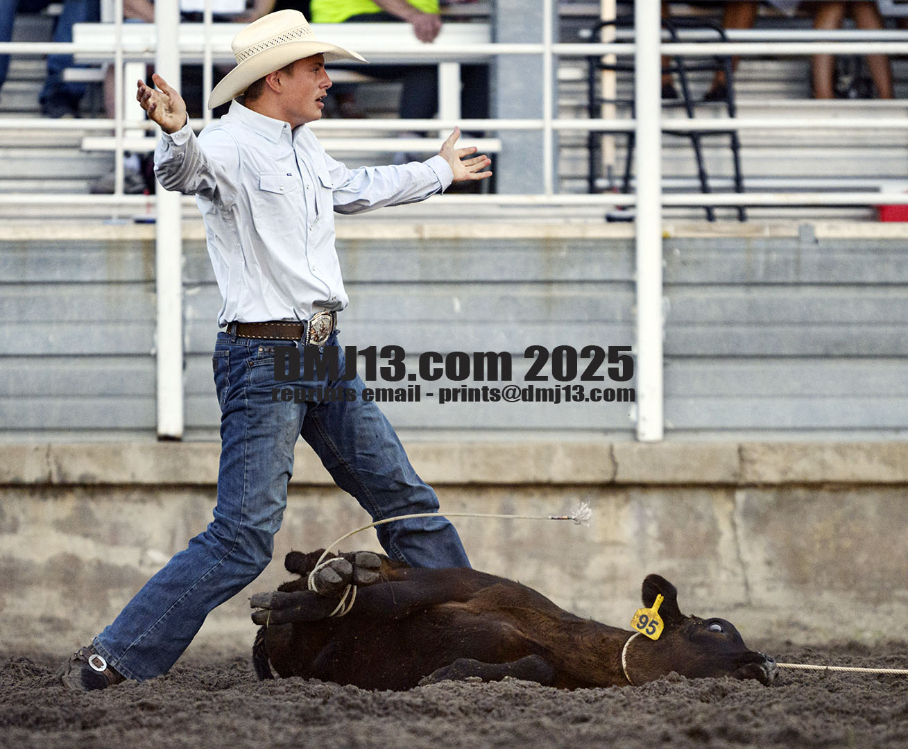 DMJ-13.com