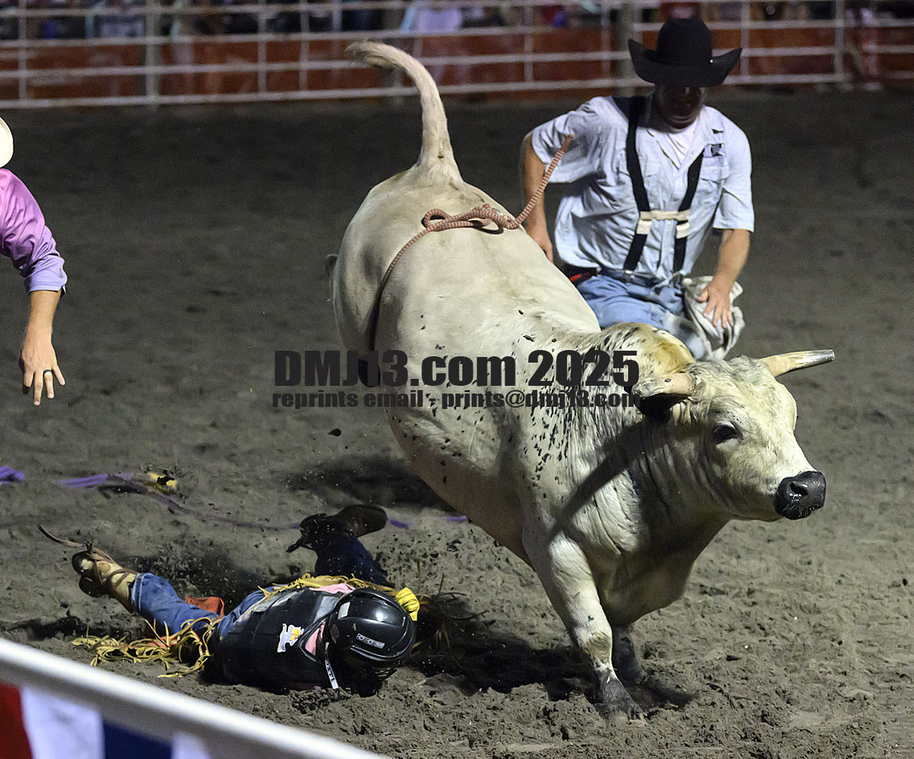 DMJ-13.com