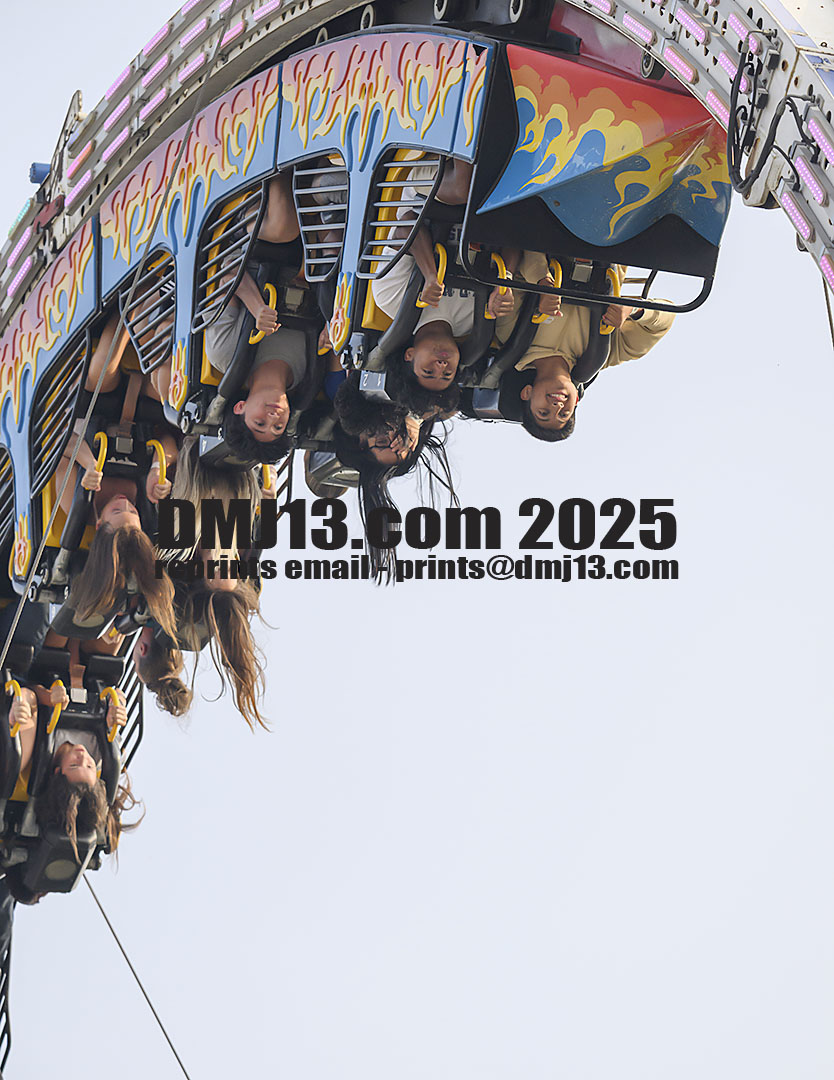 DMJ-13.com