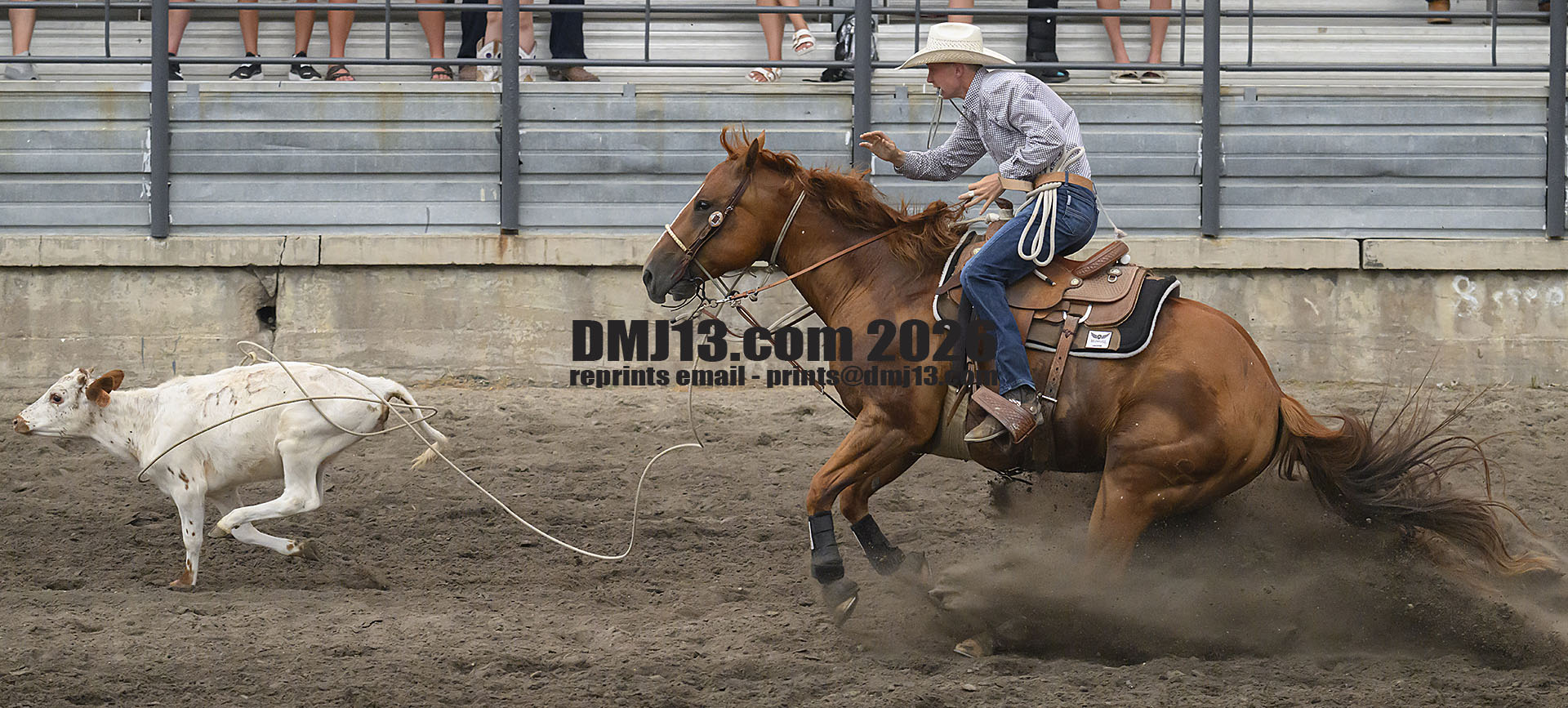 DMJ-13.com