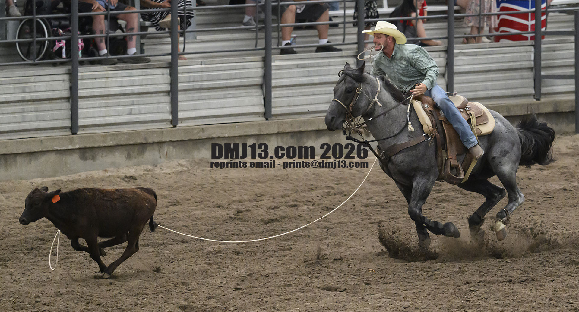 DMJ-13.com